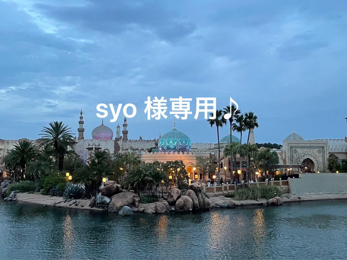 syo 様専用です (同梱)|PayPayフリマ