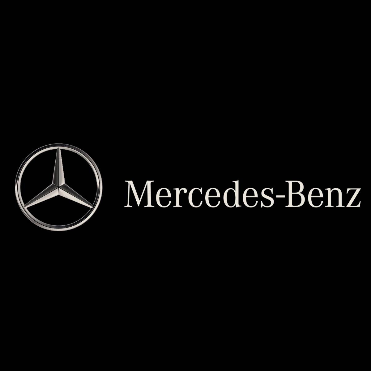 AMG メルセデスベンツ Mercedes Benz 薄型 カードケース カードホルダー 免許証 給油カード クレジットカード ブラック 黒 PETRONAS gs_画像10