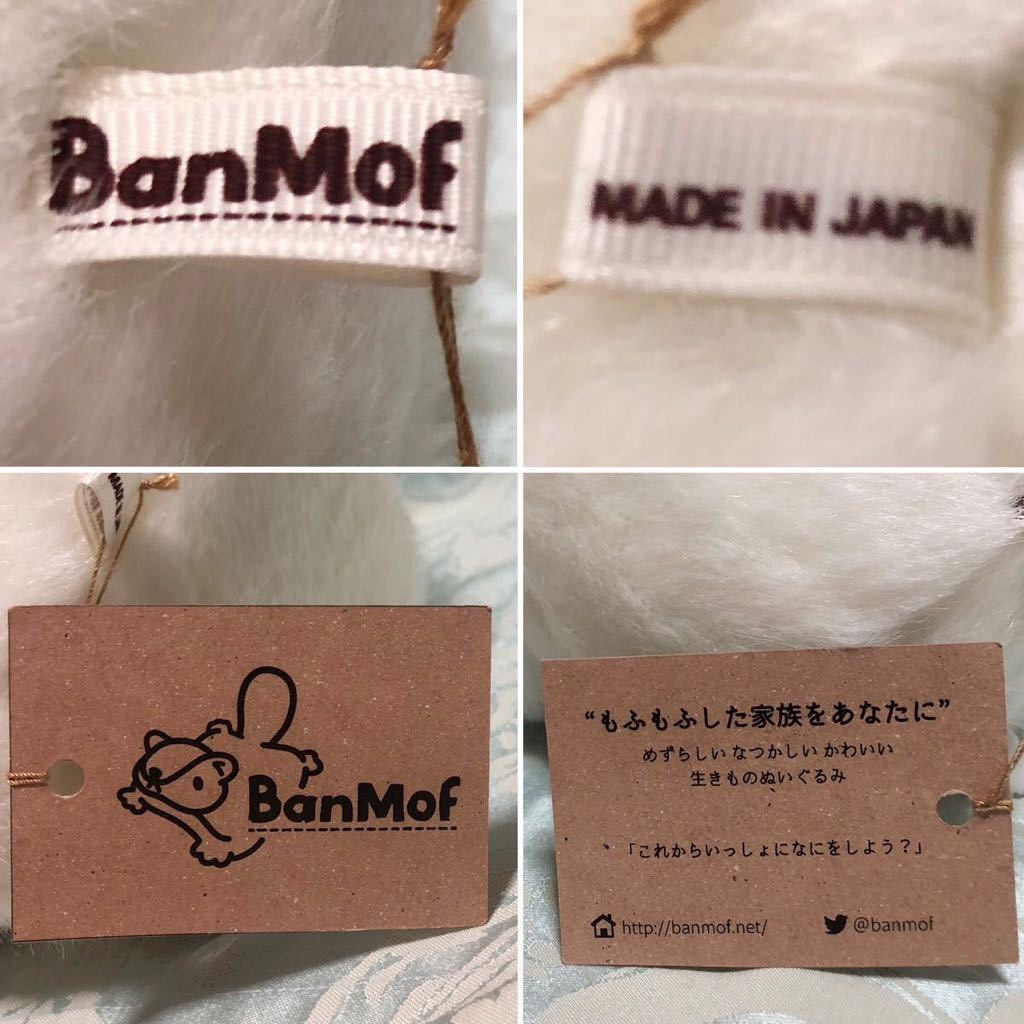 BanMof チンチラ ぬいぐるみ ばんばぱえりあ ばんもふ もふもふした家族 25㎝ 作家物 日本製 齧歯目_画像9