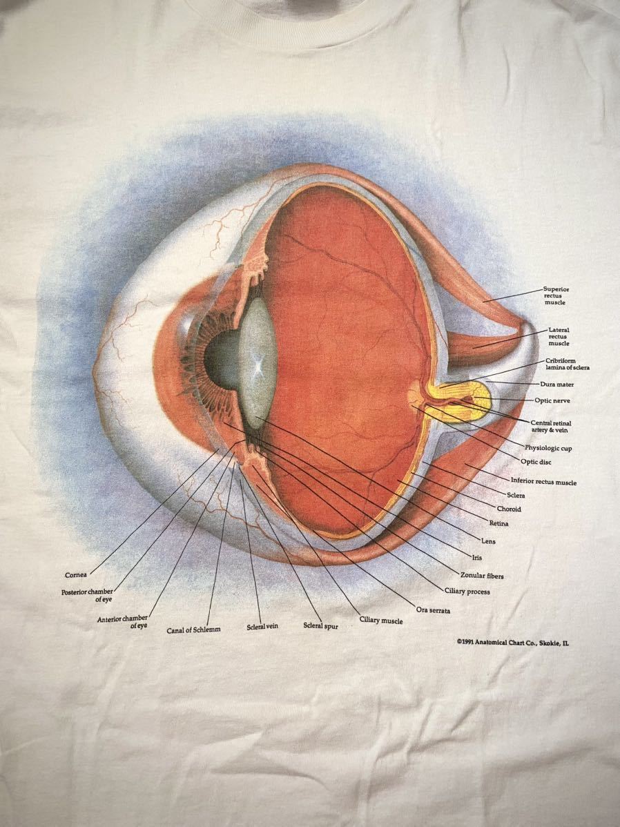 90s アナトミカルチャート Tシャツ NIRVANA カードコバーン 人体模型