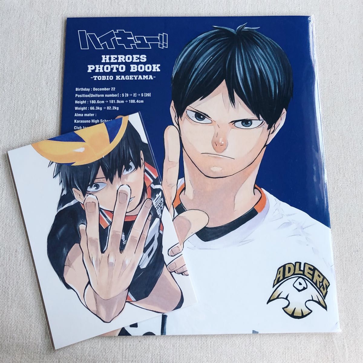 【新品未開封】ハイキュー!! 影山飛雄　HEROES PHOTO BOOK ポストカード　ゲンガ×タイカン