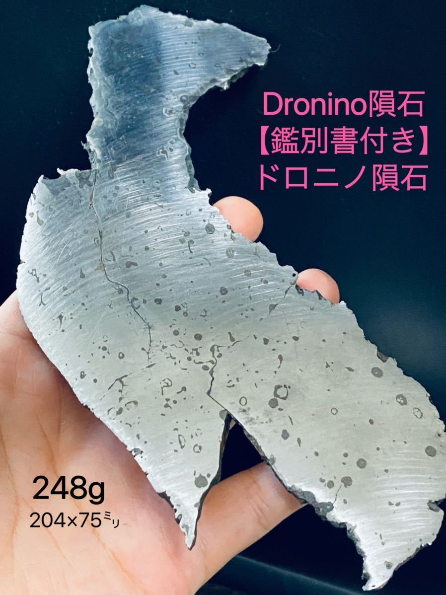 Dronino【鑑別書付き】ドロニノ隕石 鉄隕石 隕石 164g メテオライト