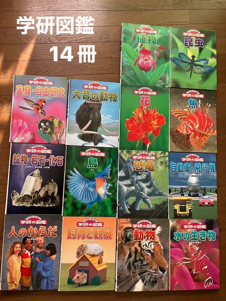 学研の図鑑 14冊セット|Yahoo!フリマ(旧PayPayフリマ) 学研の図鑑 14冊セット|Yahoo!フリマ(旧PayPayフリマ)
