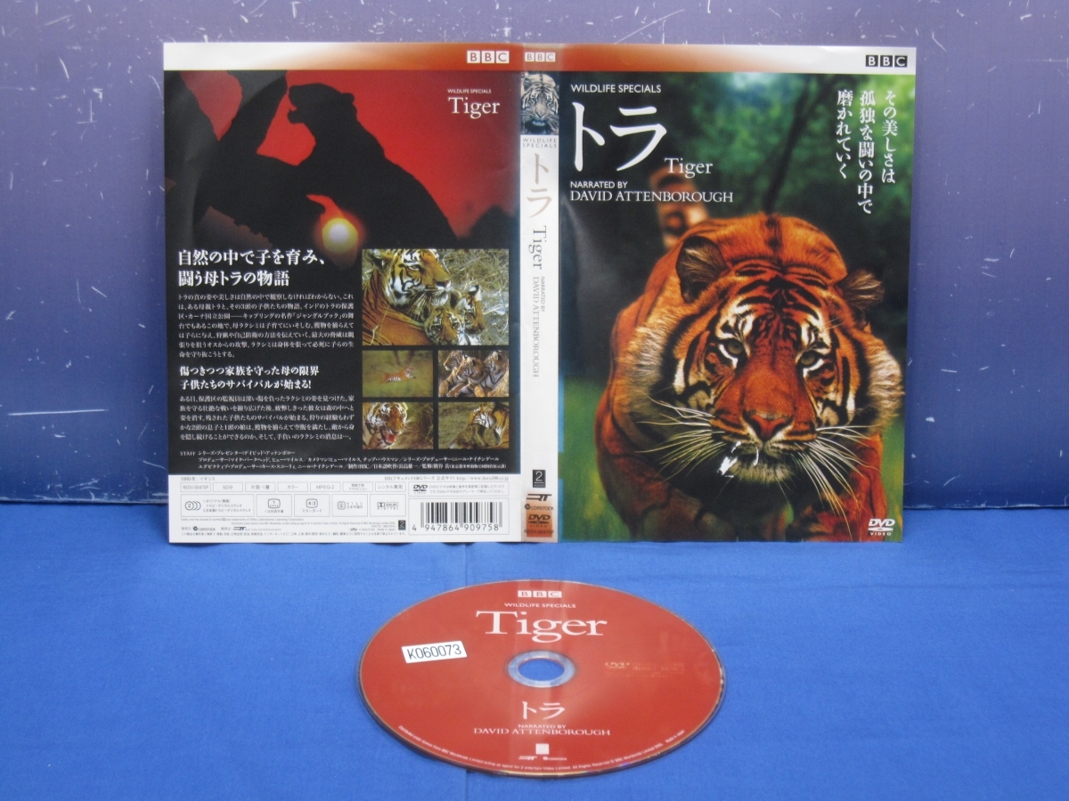 K9　レンタル落ち BBCワイルドライフ・スぺシャル トラ 狩猟の覇者 DVD_画像1