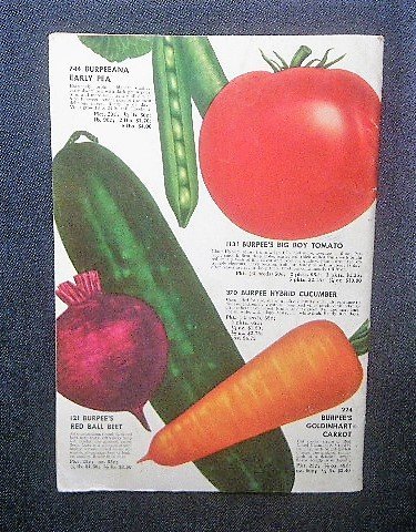 1953年 Burpee Seeds 百日草 ジニア 花・植物 種子 園芸/フルーツ/野菜/果物 植物画/農業用品 ヴィンテージ アメリカ・カタログの画像3
