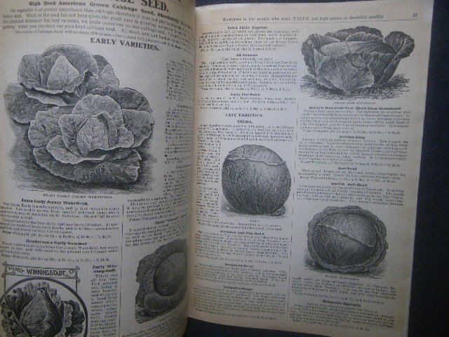1917年 アメリカ 野菜/花 植物 種苗カタログ Berry's Money Saving Seed Guide Guaranteed Seeds 園芸/農場 栽培方法/種子品種 球根の画像5