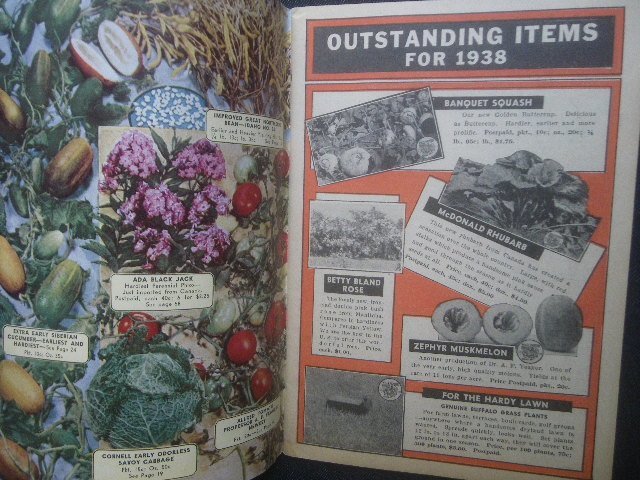 1938年 種苗/種子 アメリカ西部 ヴィンテージ カタログ Oscar H.Will & Co. Bismarck, North Dakota 野菜 花・植物 農場・園芸 栽培方法_画像3