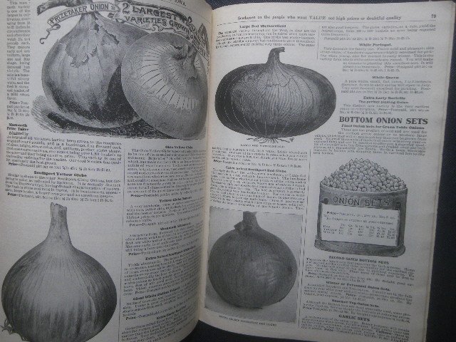 1917年 アメリカ 野菜/花 植物 種苗カタログ Berry's Money Saving Seed Guide Guaranteed Seeds 園芸/農場 栽培方法/種子品種 球根の画像3
