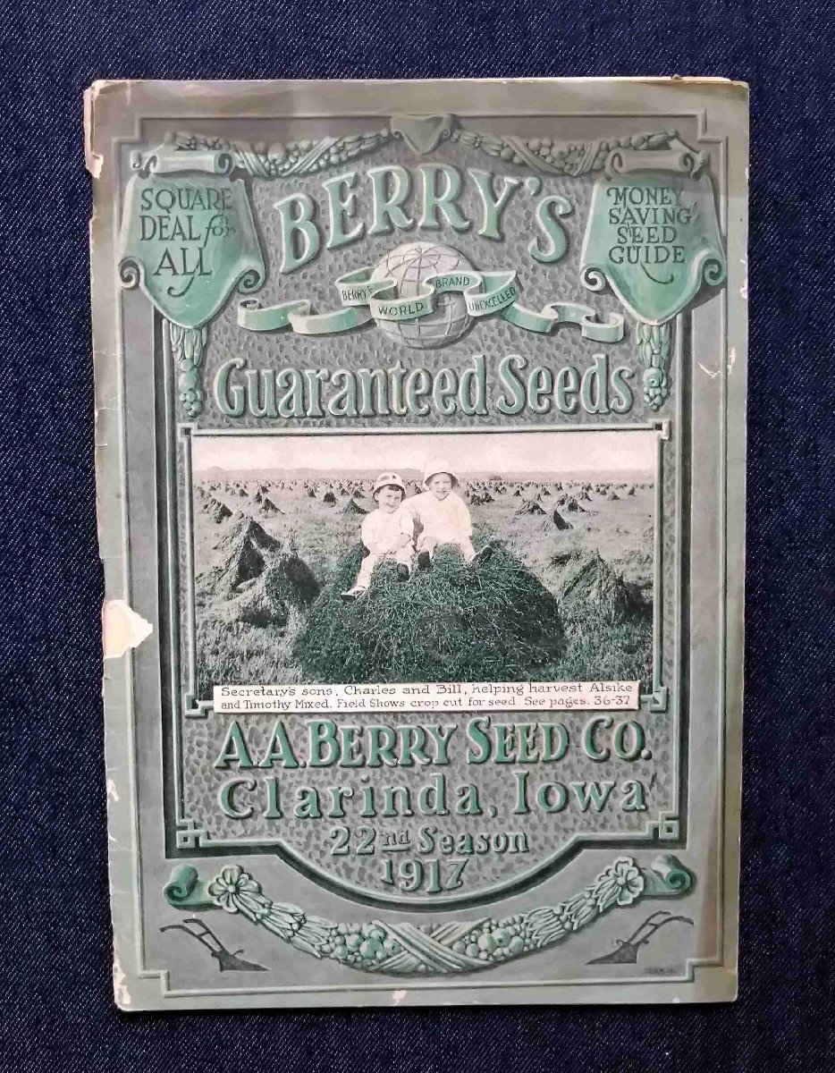 1917年 アメリカ 野菜/花 植物 種苗カタログ Berry's Money Saving Seed Guide Guaranteed Seeds 園芸/農場 栽培方法/種子品種 球根の画像2