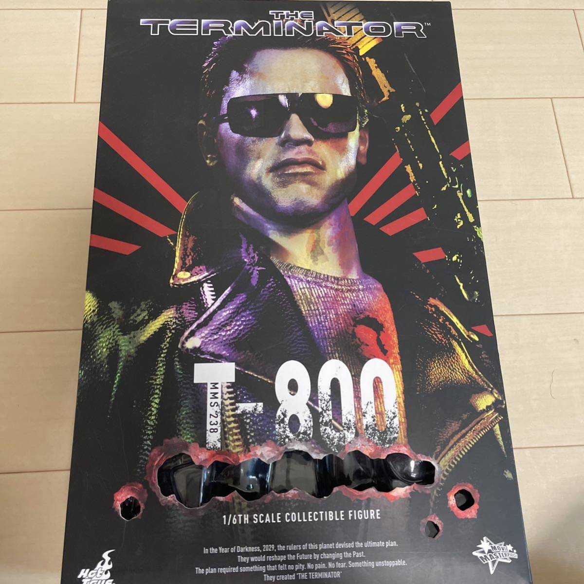 ホットトイズ ターミネーター T-800 バトルダメージ 1/6 HOTTOYS