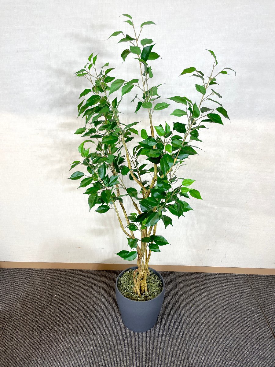 ★直接引き取り限定★BR3395_Kh◆モデルR展示品◆フェイクグリーン◆人口観葉植物◆全体：W700 Ｈ1540 D700 鉢：H260 φ270　破損あり_画像2