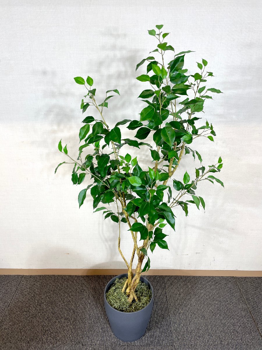 ★直接引き取り限定★BR3395_Kh◆モデルR展示品◆フェイクグリーン◆人口観葉植物◆全体：W700 Ｈ1540 D700 鉢：H260 φ270　破損あり_画像1