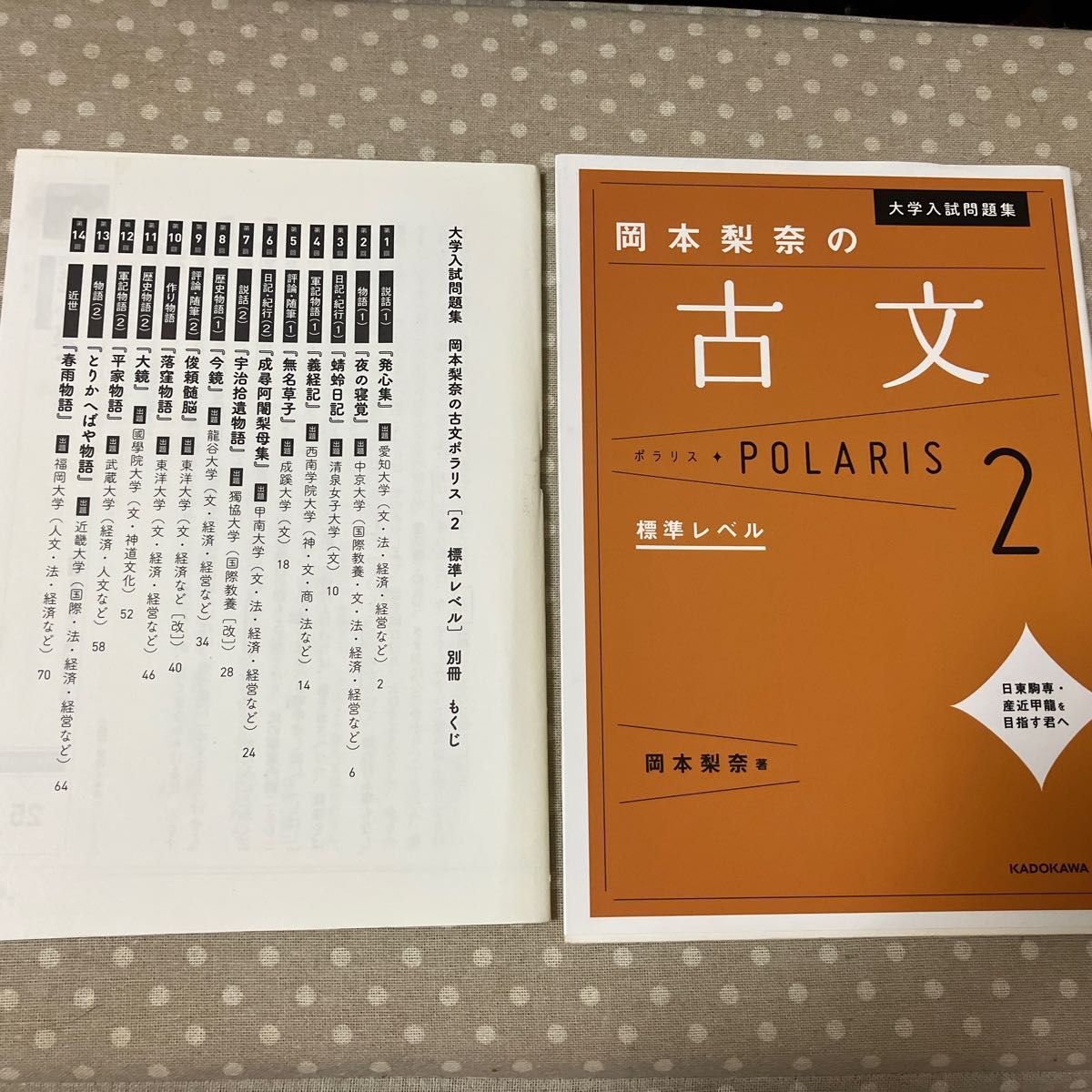 大学入試問題集 岡本梨奈の古文ポラリス 1 基礎レベル - 語学・辞書