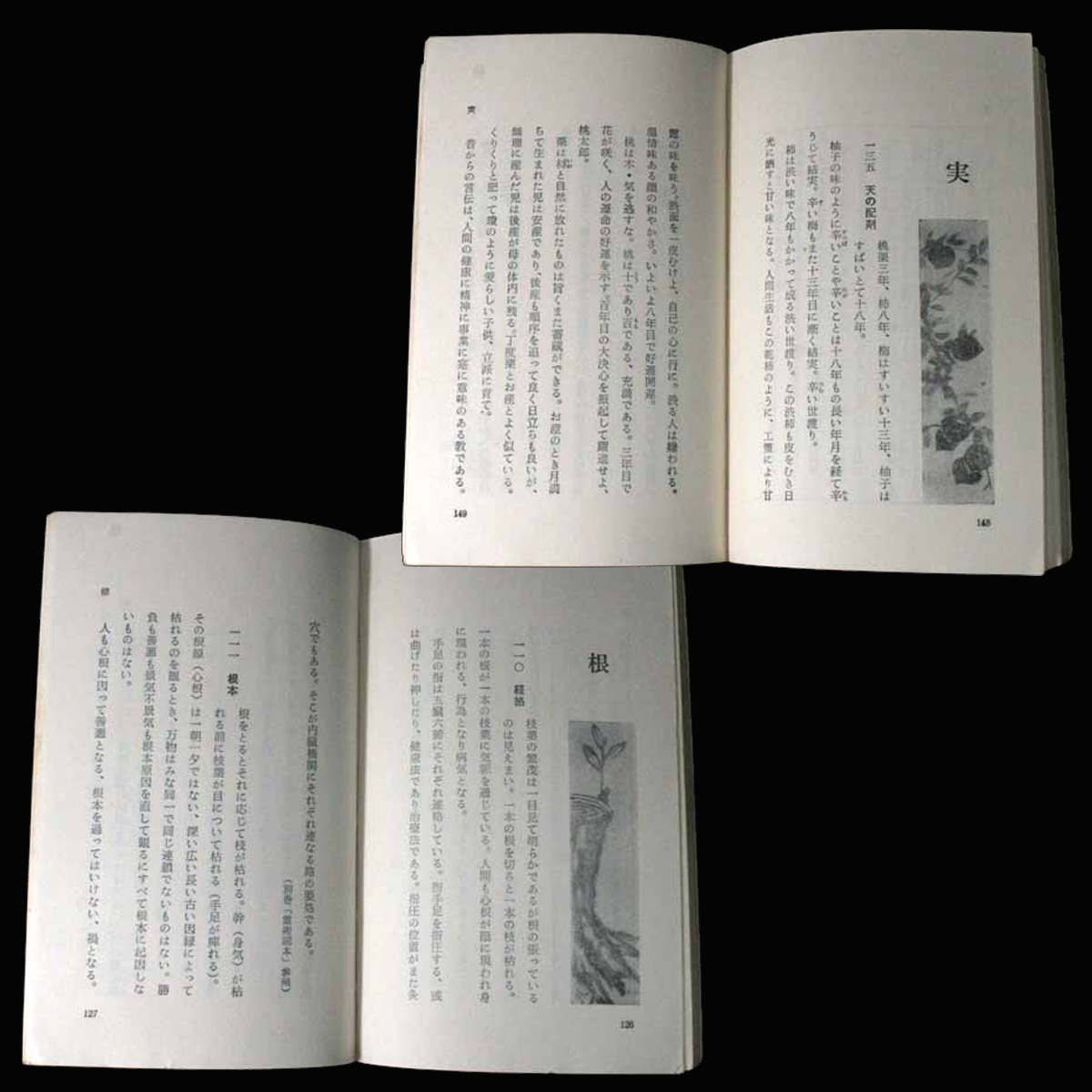 Yahoo!オークション - 心霊界教団 世垂草 文字の教え 石井 山_神 Yahoo!オークション - 心霊界教団 世垂草 文字の教え 石井 山_神