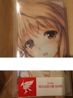 11 FORTUNE ARTERIAL 悠木陽菜 純なる言の葉抱き枕カバー+ピクチャープレート べっかんこう オーガスト