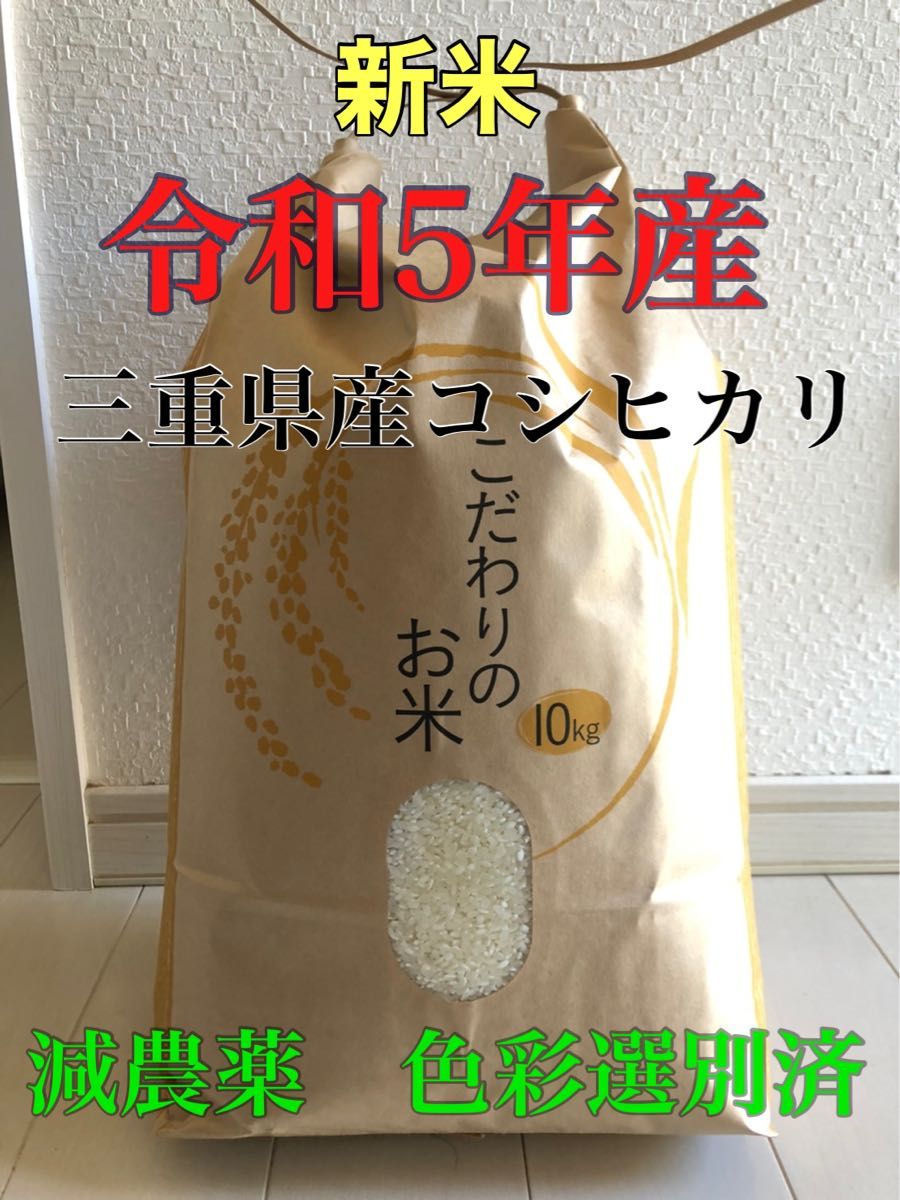 令和5年産 新潟県南魚沼産コシヒカリ新米 玄米30Kg #2 - 米