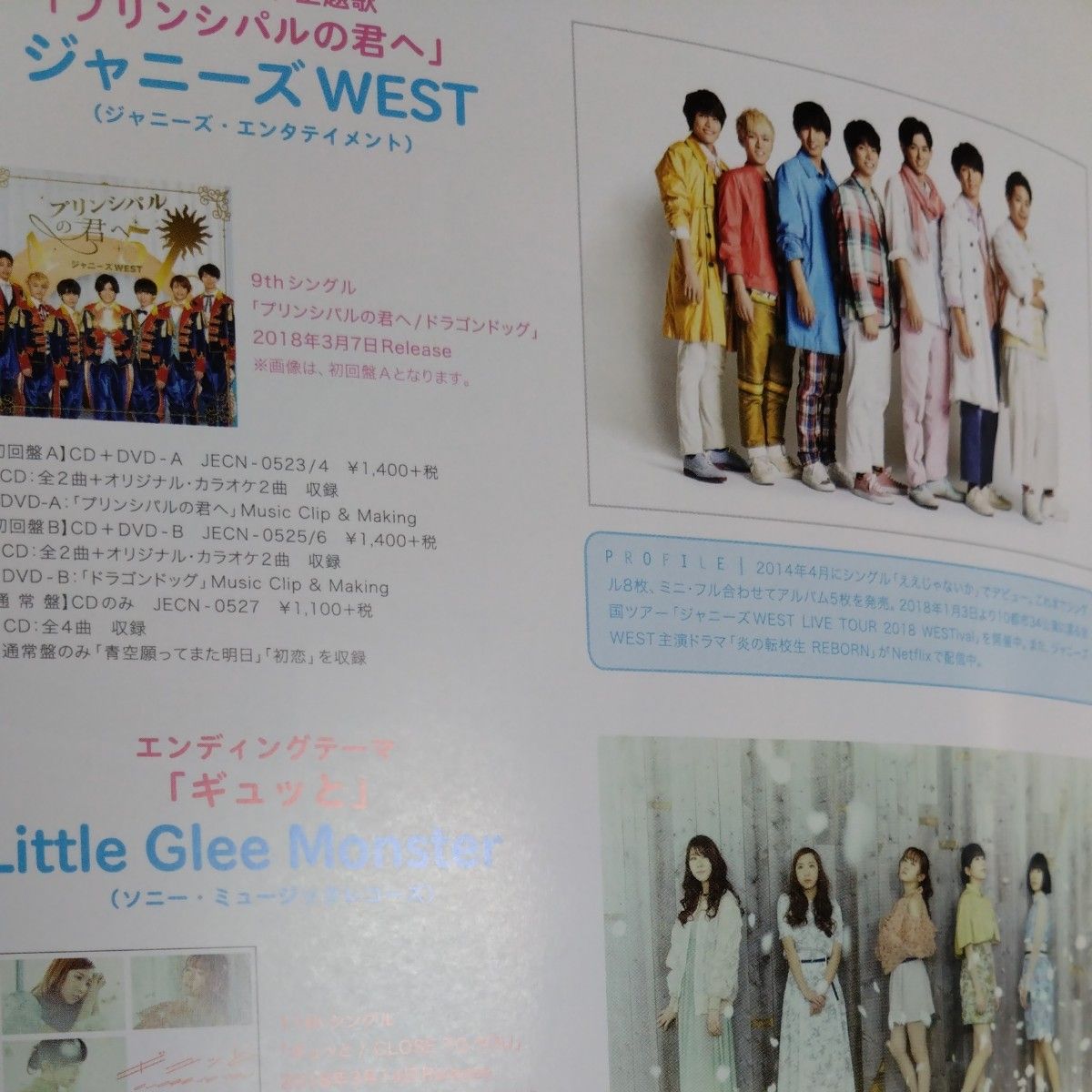 プリンシパル 恋する私はヒロインですか? パンフレット 小瀧望 ジャニーズWEST 映画パンフレット