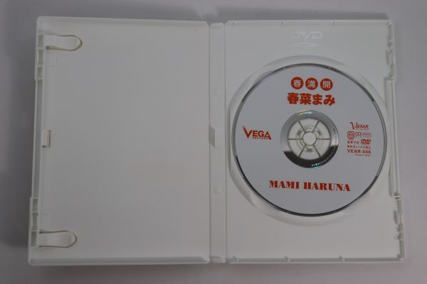 ■ＤＶＤ■春満開■春菜まみ■中古■_画像5