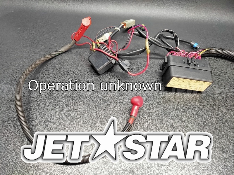 SEADOO RXT'08 OEM section (Electrical-Harness-1) parts Used (わけあり品) [S6442-02]_画像9