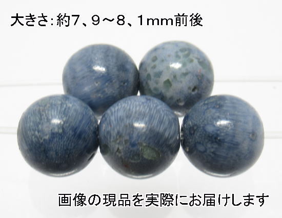 (値下げ価格)NO.1 スポンジコーラル青 8mm(5粒入り)＜お守り・慈愛＞ 天然の色合い 仕分け済み天然石現品_画像1