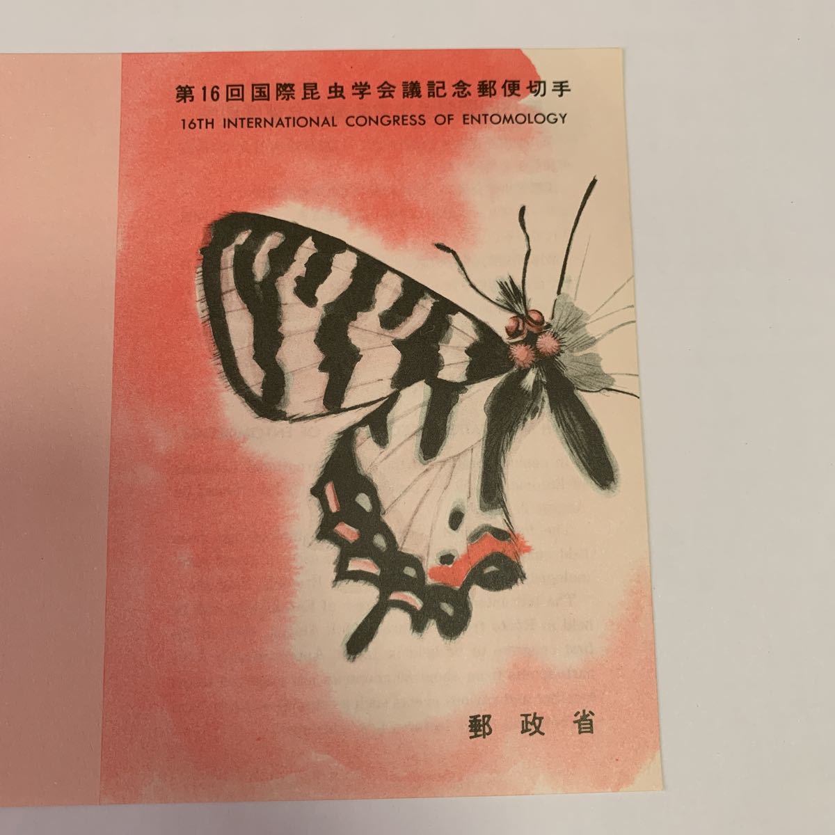 リーフレット 切手なし 1980年 郵政省 第16回国際昆虫学会議記念郵便切手 昭和55年 8月2日 ギフチョウ レア 希少 非売品 美品 送料無料_画像3