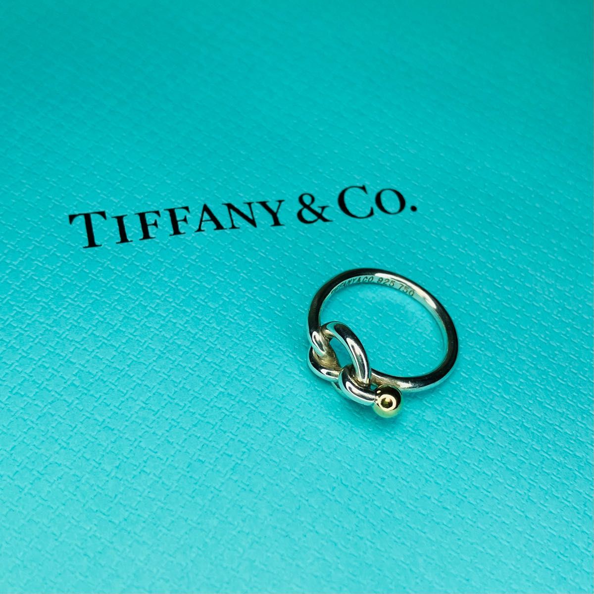 TIFFANY&Co. ティファニー リング コンビ 750×925-