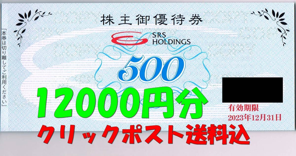 SRSホールディングス 株主ご優待券 12000円分(500円券×24枚) 2023/12