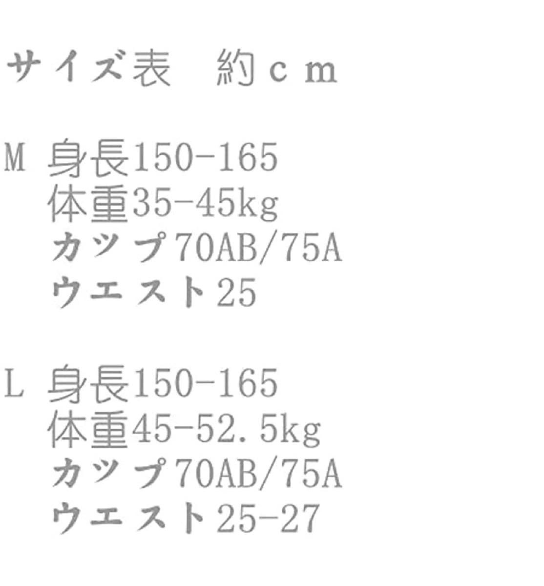 【Lサイズ】水着 レディース 2点セット ハイウエストビキニ 可愛い