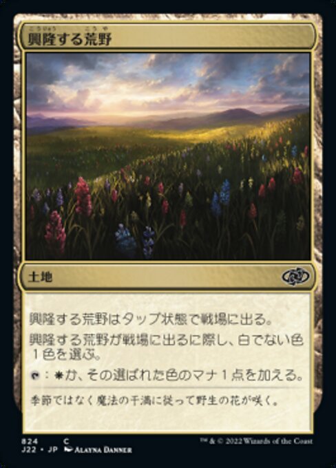 MTG ■土地/日本語版■ 《興隆する荒野/Thriving Heath》ジャンプスタート2022 J22_画像1