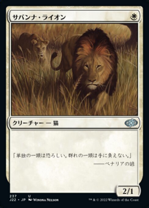 MTG ■白/日本語版■ 《サバンナ・ライオン/Savannah Lions》ジャンプスタート2022 J22_画像1