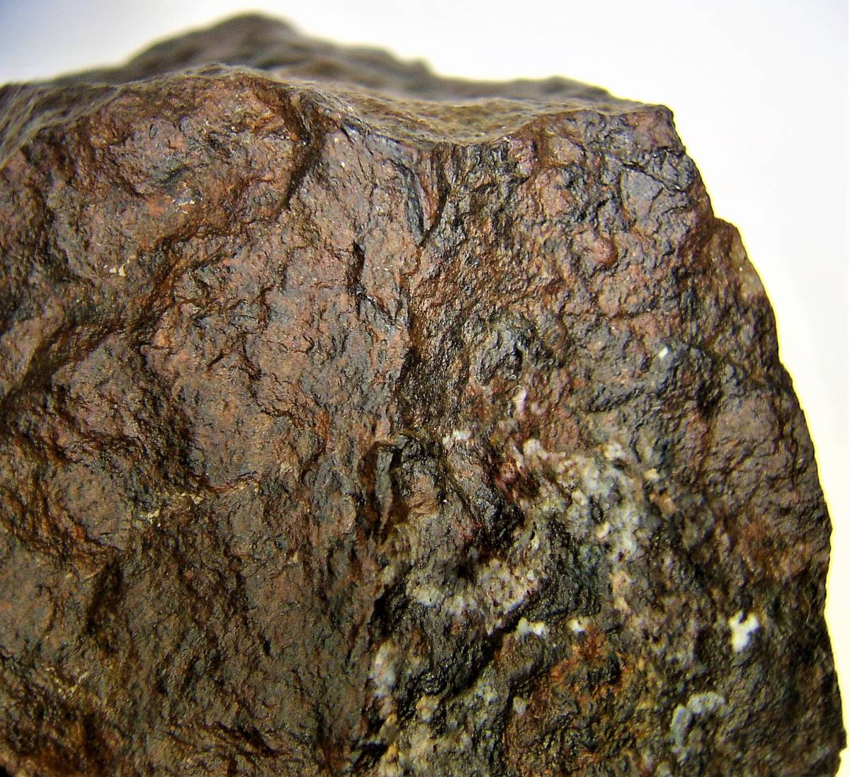 46億年前の隕石コンドライト 23.4g（Ｄ）の画像3
