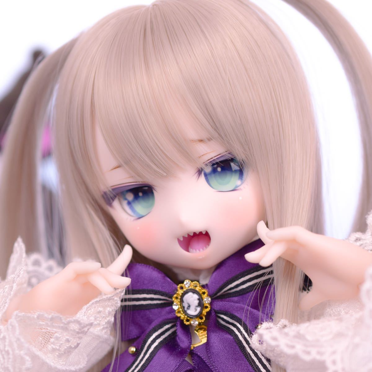 DDH-29 カスタムヘッド セミホワイト MDD ドルフィードリーム-