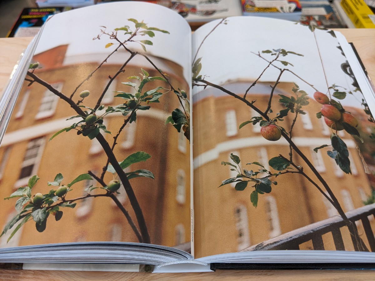 新品】Wolfgang Tillmans. four books. 40th Ed. / ヴォルフガング