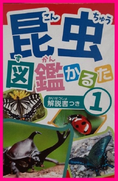 【かるた:カルタ：昆虫:1個】★かるた:カルタ・ゲーム・説明書付き:カード裏に解説あり：知育玩具：脳を活性化★_画像1