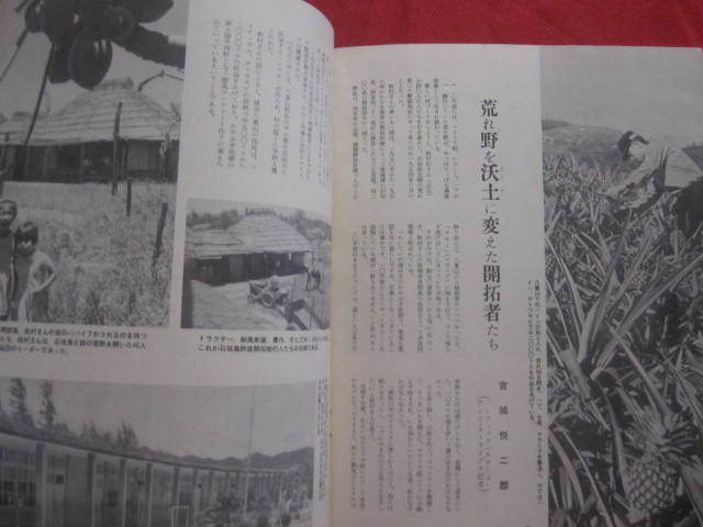 *... light SHUREI NO HIKARI 1964 year 11 month number [ Okinawa *. lamp * history * culture ]