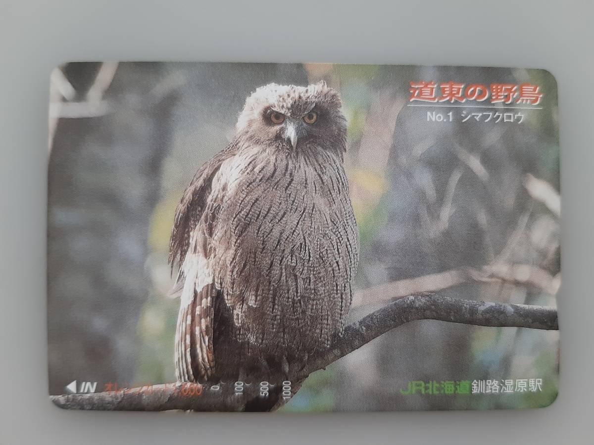 【使用済】 オレンジカード　道東の野鳥　No.1 シマフクロウ　JR北海道　残高なし　オレカ_画像1