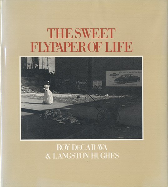 【最安値】 The Sweet Life of Flypaper アート写真