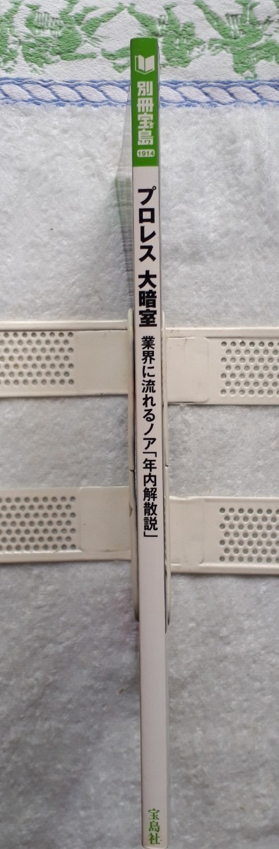 (株)宝島社　別冊宝島「プロレス大暗室」2012年11月15日発行_画像2