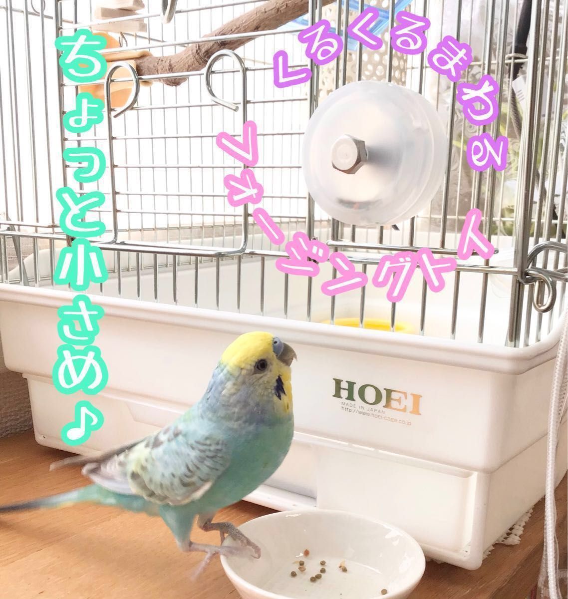 フォージングトイ　ちょっと小さめ★インコや文鳥の小鳥のハンドメイドおもちゃ　バードトイ　フォージングカプセル