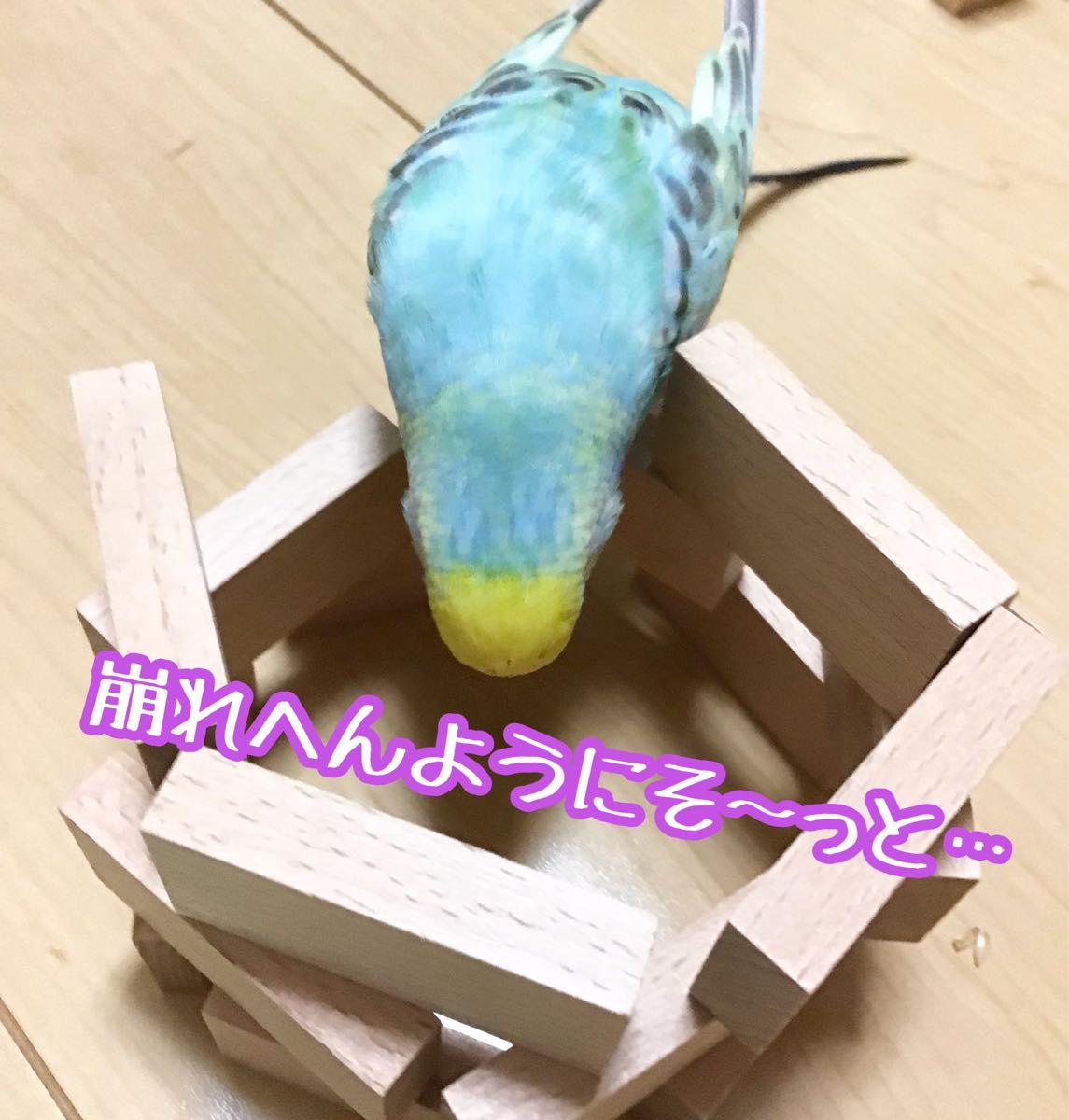 ことりのつみき★インコや文鳥の小鳥のハンドメイドおもちゃ　バードトイ　アスレチック　バードジム　フォージング　積み木