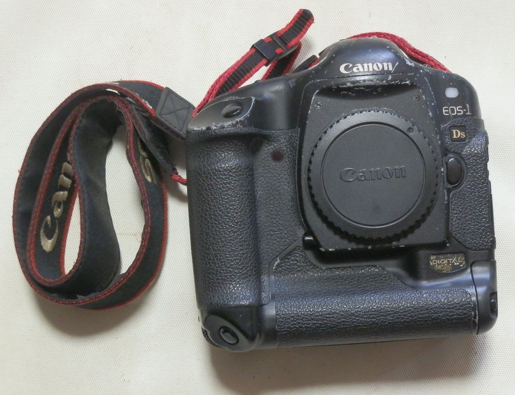 レビュー高評価の商品！ Canon EOS-1 Ds 初代☆中古 キヤノン