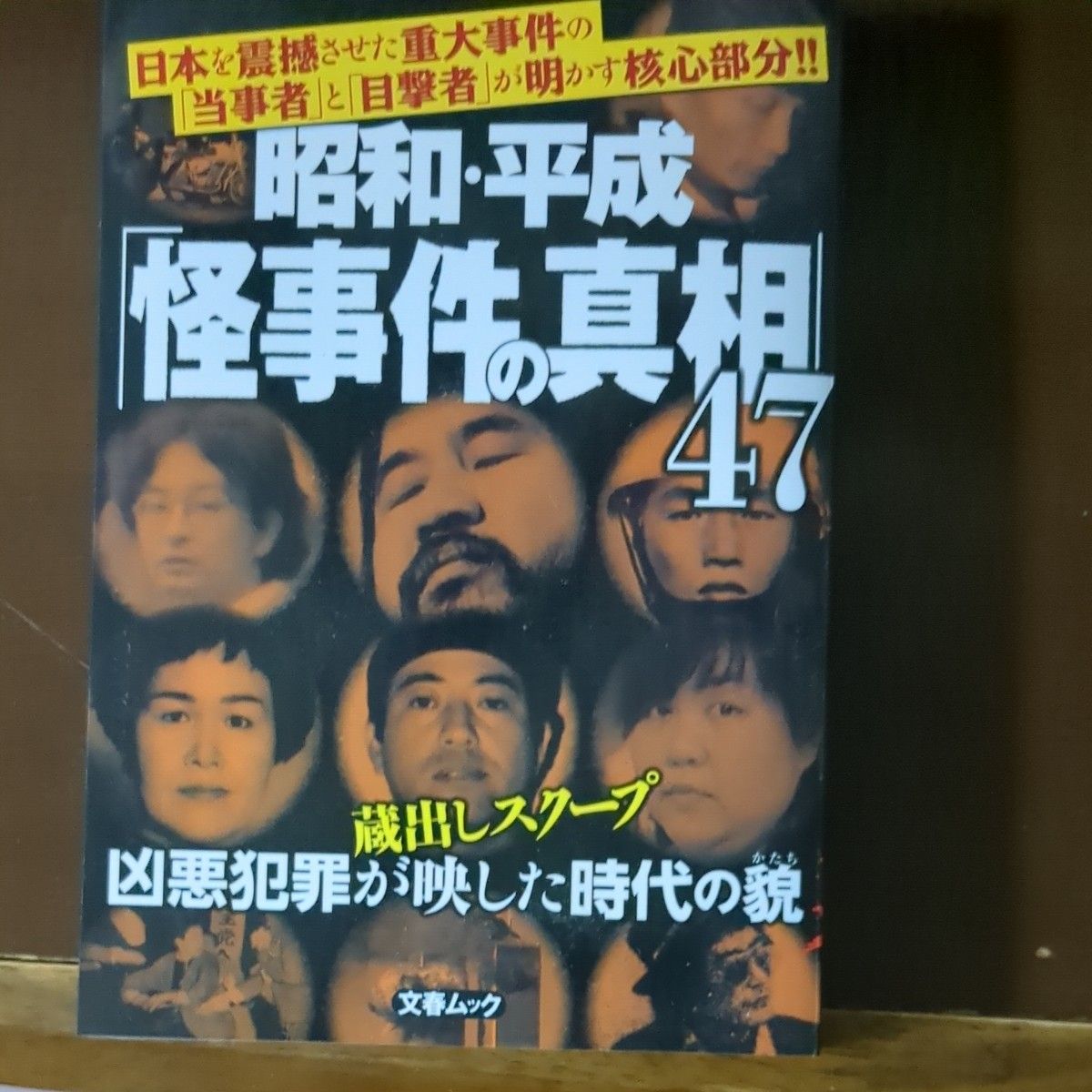 昭和平成 「怪事件の真相」 47 謎の核心