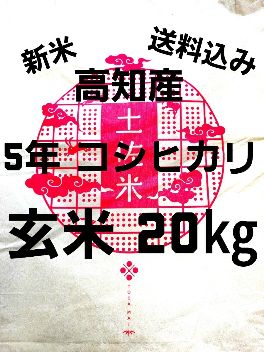 送料込み 令和5年産 高知県産 新米コシヒカリ 玄米20㎏(袋込み)の画像1