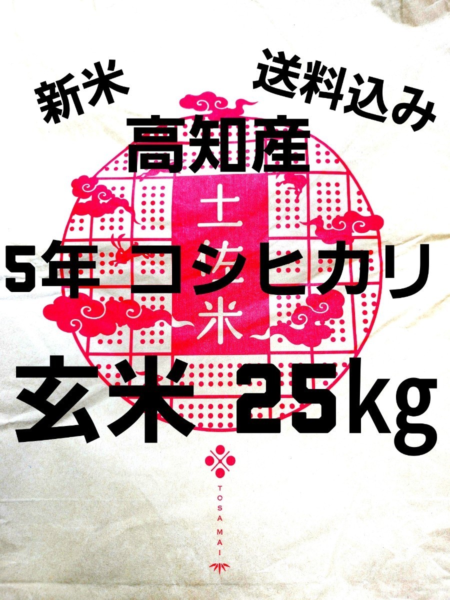 送料込み 令和5年産 高知県産 新米コシヒカリ 玄米25㎏(袋込み)の画像1
