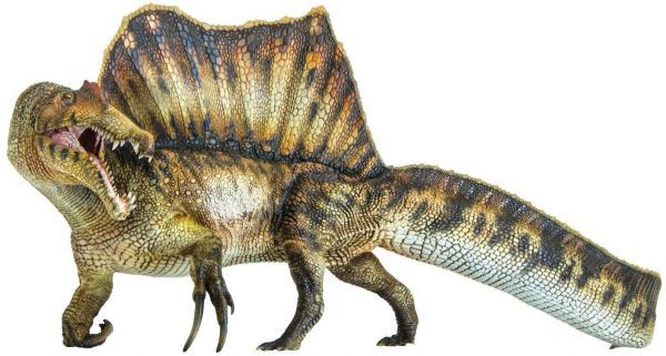 PNSO 35 成長シリーズ スピノサウルス Spinosaurus 肉食 恐竜 動物 フィギュア おもちゃ 模型 恐竜好き 誕生日 プレゼント 完成品 23cmの画像2