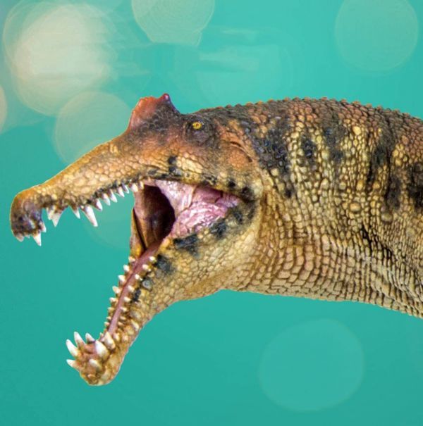 PNSO 35 成長シリーズ スピノサウルス Spinosaurus 肉食 恐竜 動物 フィギュア おもちゃ 模型 恐竜好き 誕生日 プレゼント 完成品 23cmの画像4