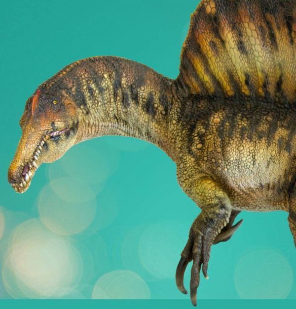 PNSO 35 成長シリーズ スピノサウルス Spinosaurus 肉食 恐竜 動物 フィギュア おもちゃ 模型 恐竜好き 誕生日 プレゼント 完成品 23cmの画像6