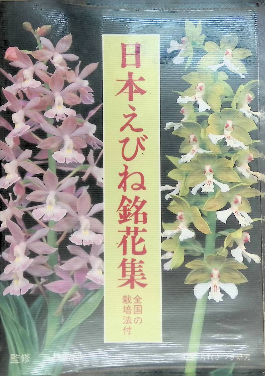  Japan .... flower compilation all country. cultivation law attaching . Shuzo branch .. monthly satsuki research 1982 year YB230830S2