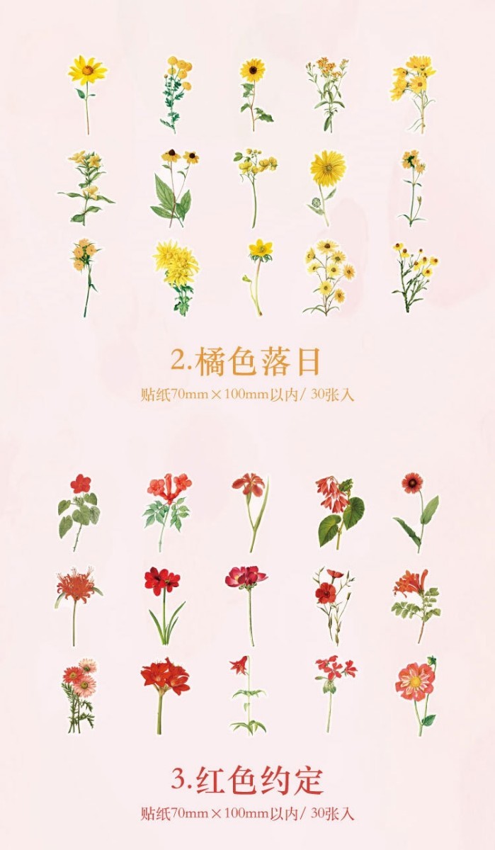 フレークシール まとめ売り 韓国 ステッカー コラージュ 花 植物 フラワー_画像6