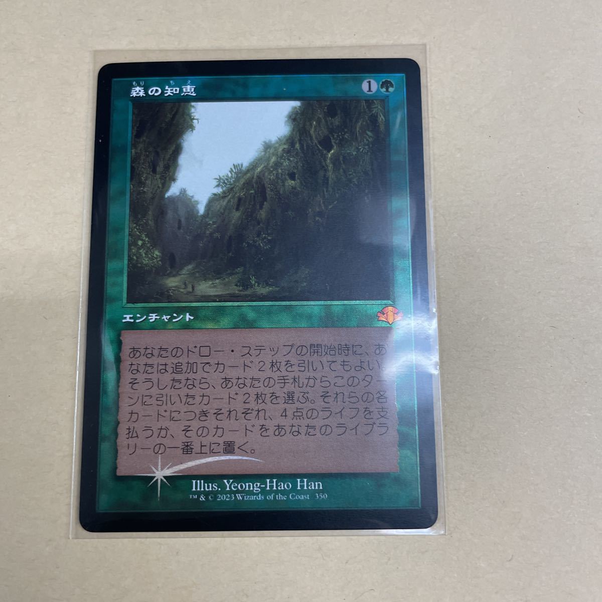 即決 MAGIC MTG マジック Foil 旧枠 森の知恵|PayPayフリマ